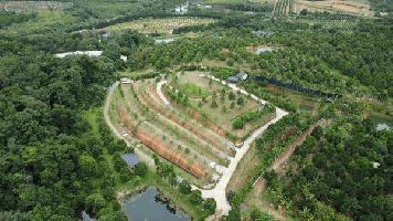 ขายสวนทุเรียน ขั้นบันได พร้อมบ้านตากอากาศ บนเขา พร้อมโฉนด! วิวหลักล้าน 11ไร่ อ.มะขาม จันทบุรี โทร 0830132000